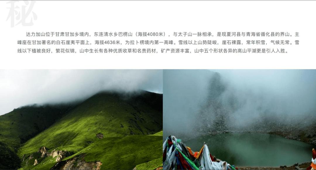 救援七星瓢虫