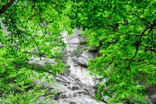 丰山集团涨停