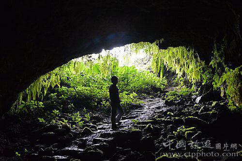 春节订单增长超800％ 沈阳文旅致信全体市民：主动亮家底、不能掉链子