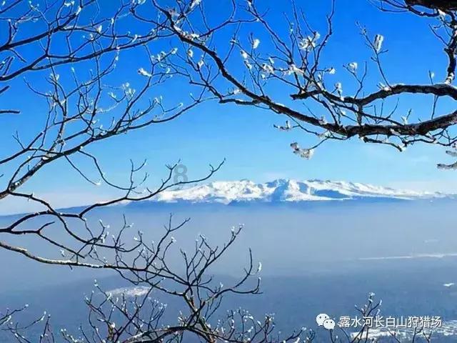 汽车华容道选关版