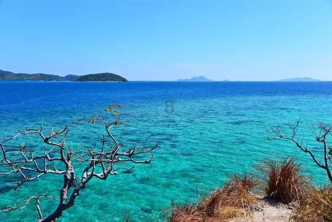 地铁：最后的曙光