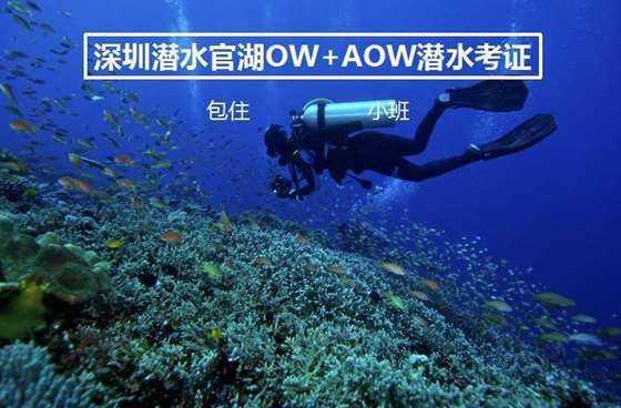 射击红色鸟