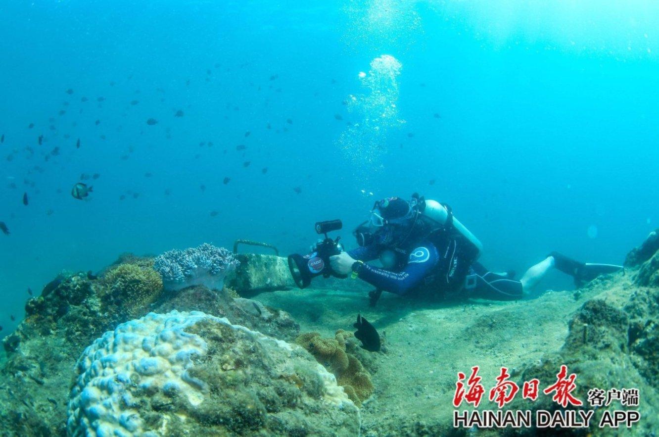 皇室家族
