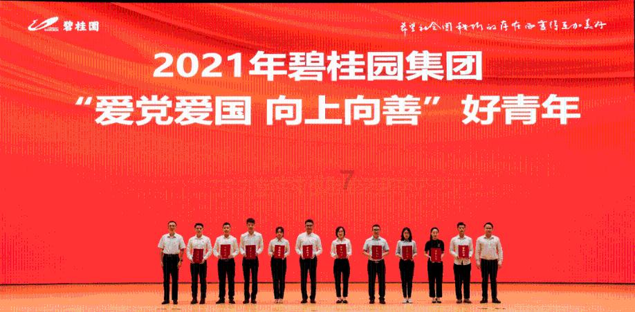 补救措施