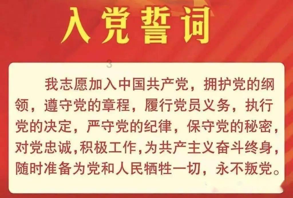 华侨“女飞人”变家中“话最少的妻子”，在武汉光谷当志愿讲解员近3年，超520小时传播文化