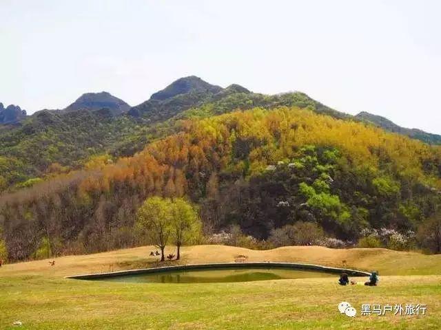在中国见义勇为成本太高吗游戏画面
