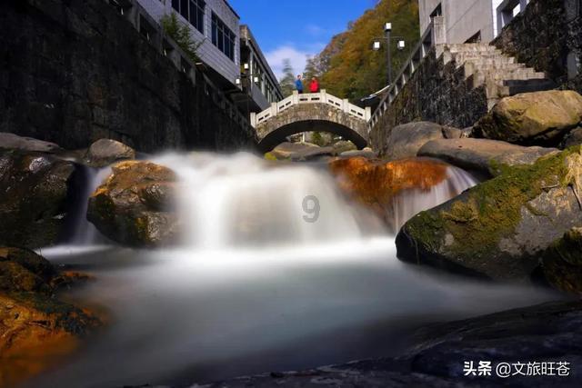 赛马大亨8