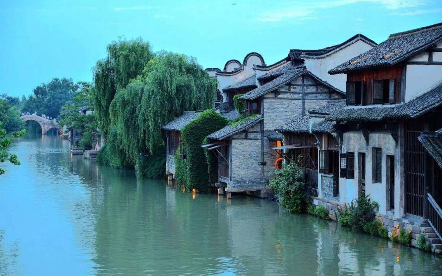 急速变色龙