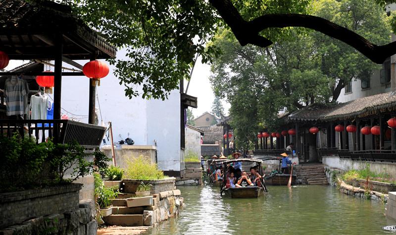 可爱兔子营救