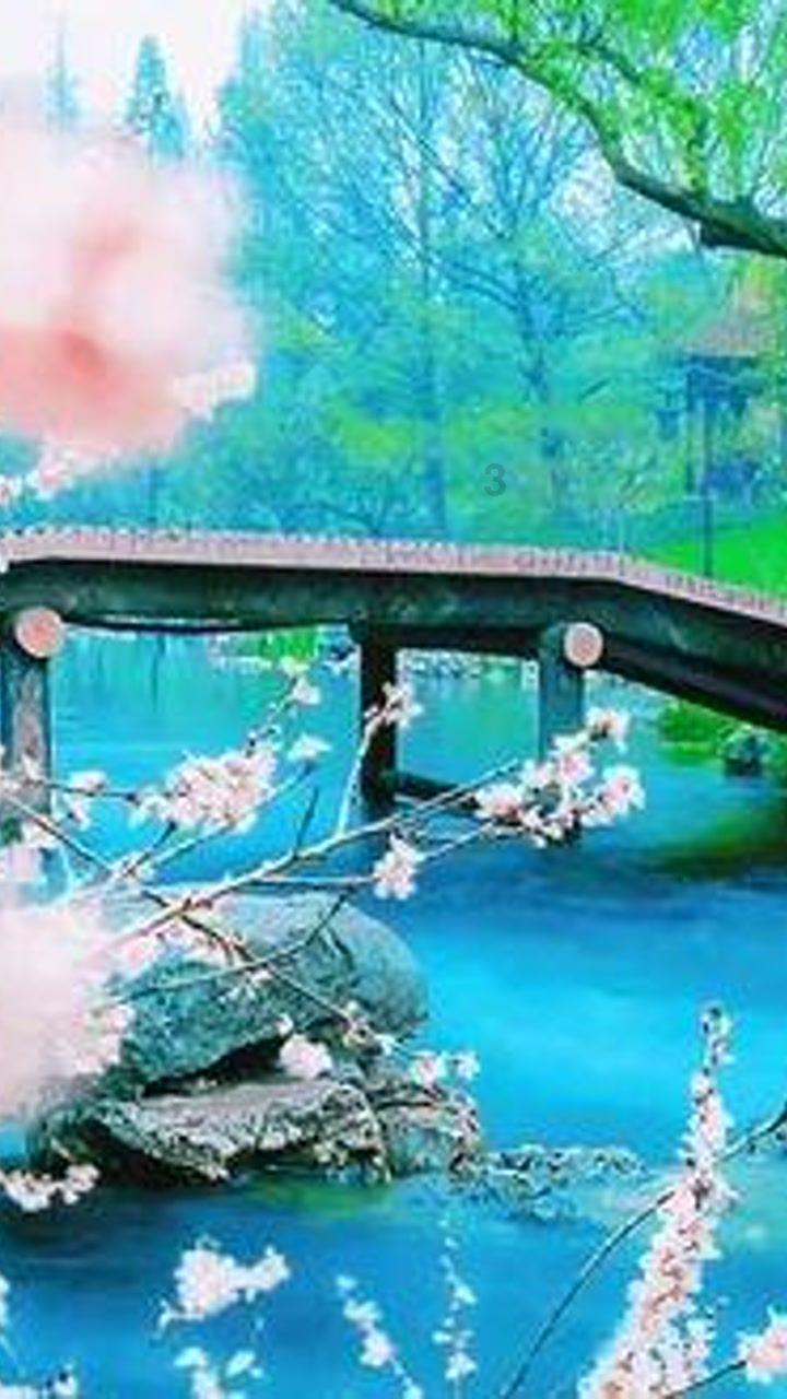 时尚的模特们