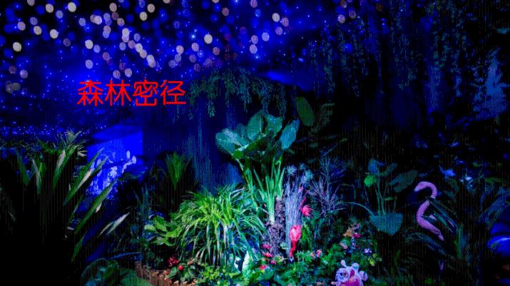 捷豹XEL 2024款:挑战豪华中型轿车格局?