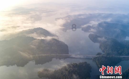 逃离白鸽之森